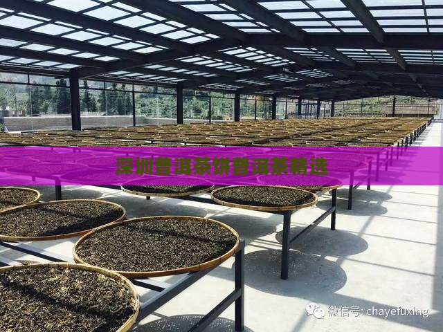 深圳熟普洱茶饼