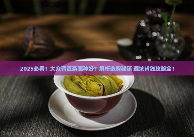 大众普洱茶哪种好