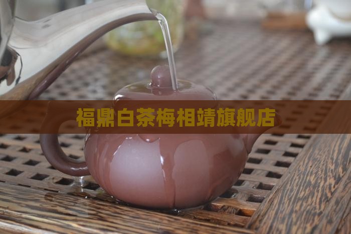 梅相靖白茶饼官方旗舰店