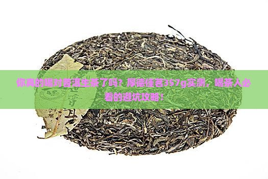 厚德佳茗普洱茶生茶357g