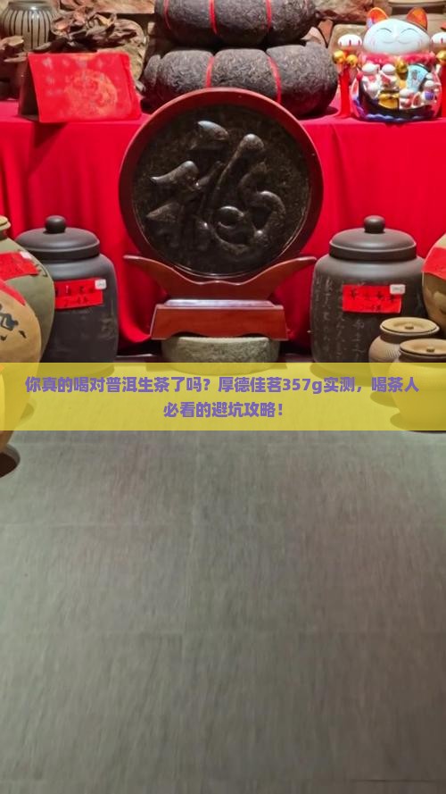 厚德佳茗普洱茶生茶357g