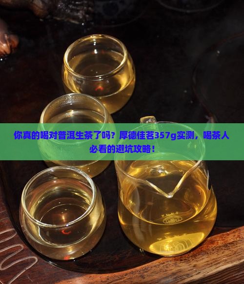 厚德佳茗普洱茶生茶357g