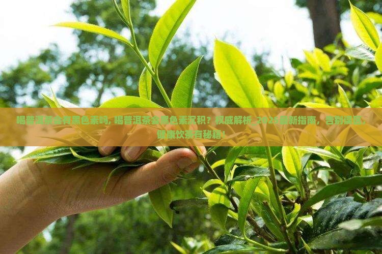 喝普洱茶会有黑色素吗