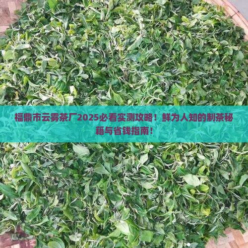 福鼎市云雾茶厂