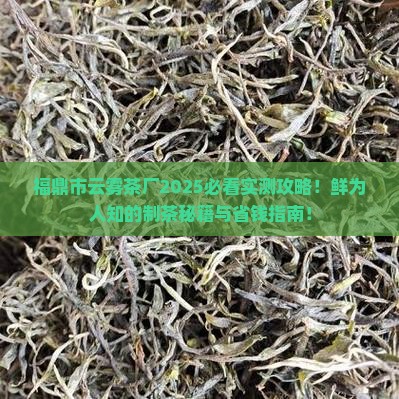 福鼎市云雾茶厂