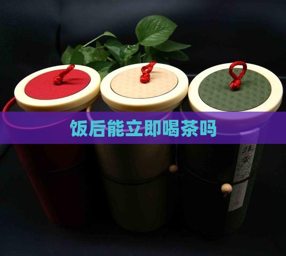 饭后能立即喝茶吗