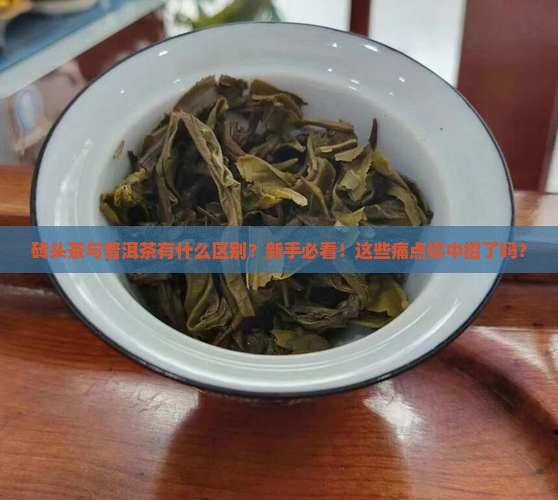 砖头茶与普洱茶有什么区别