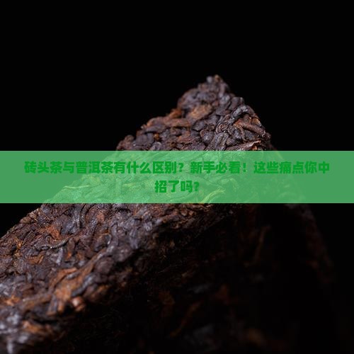 砖头茶与普洱茶有什么区别