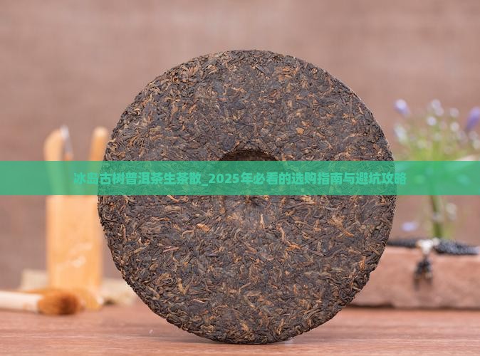 冰岛古树普洱茶生茶散