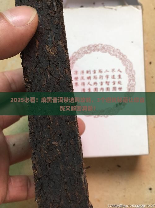 麻黑普洱茶知识