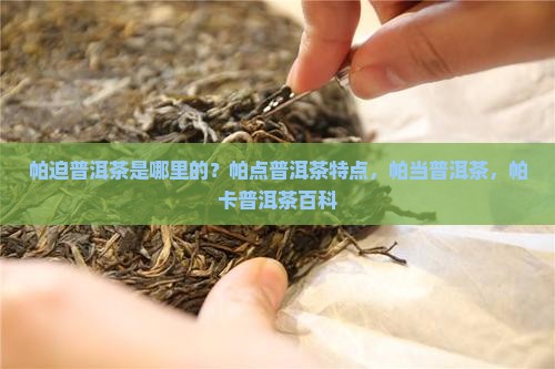 帕迫普洱茶是哪里的 帕迫普洱茶是哪里的