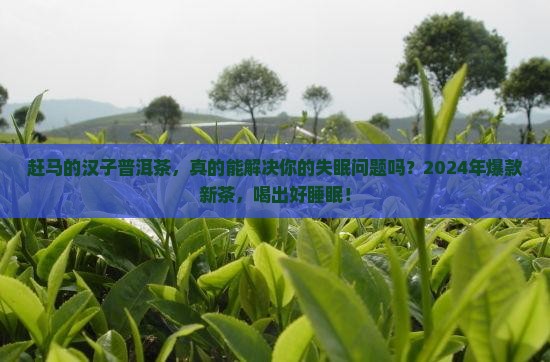 赶马的汉子普洱茶
