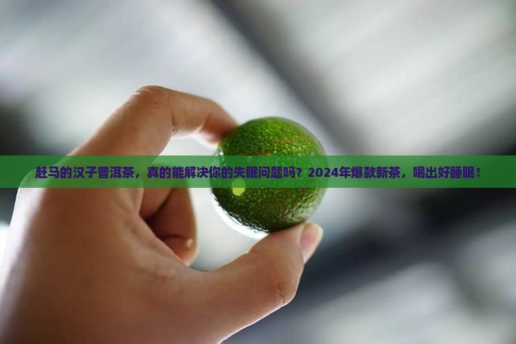 赶马的汉子普洱茶