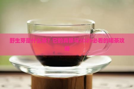 野生芽是什么茶