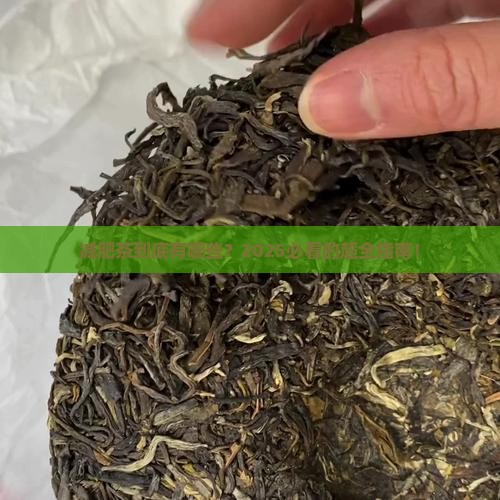 减肥茶有哪几种
