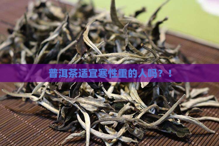 普洱茶适宜寒性重的人吗 普洱茶适宜寒性重的人吗