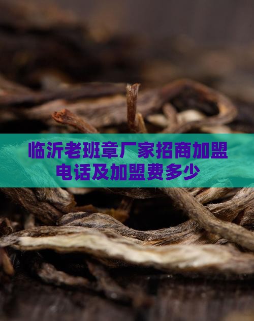 临沂老班章厂家招商加盟