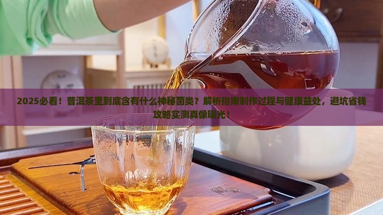 普洱茶里是什么菌类的茶