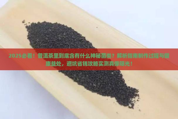 普洱茶里是什么菌类的茶