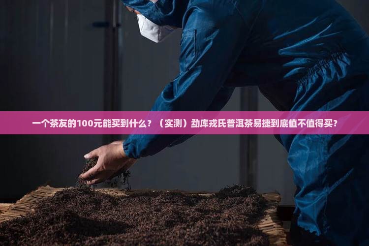 勐库戎氏普洱茶易捷