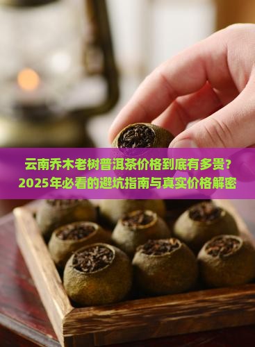 云南乔木老树普洱茶价格