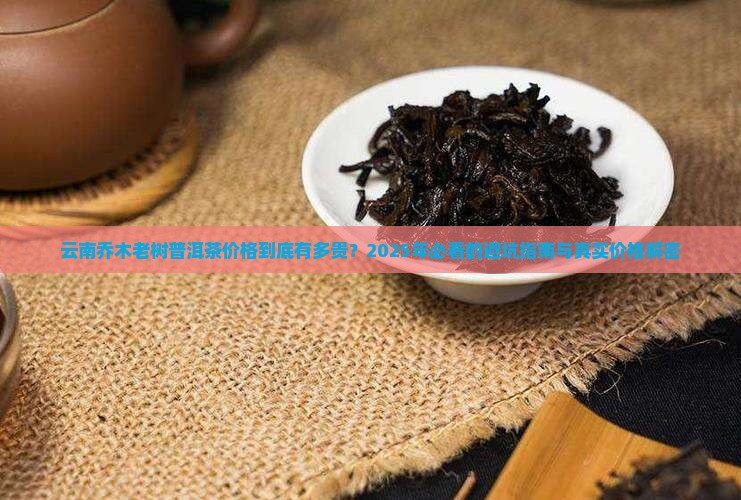 云南乔木老树普洱茶价格