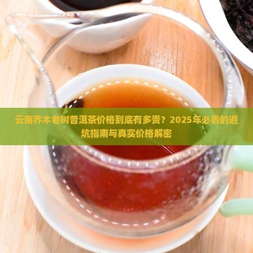 云南乔木老树普洱茶价格