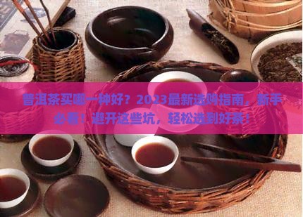 普洱茶买哪一种好