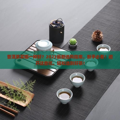 普洱茶买哪一种好