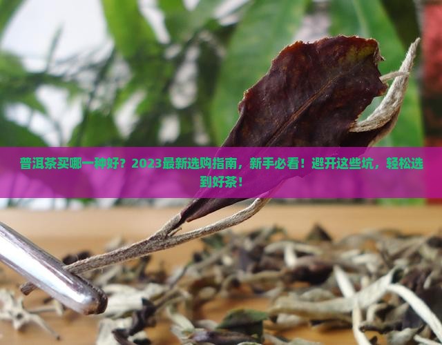 普洱茶买哪一种好