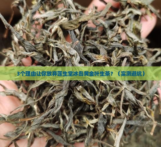 莲生堂冰岛黄金叶生茶