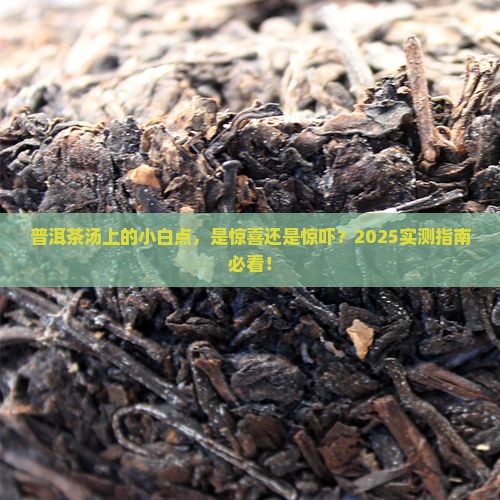 普洱茶汤上飘着白点