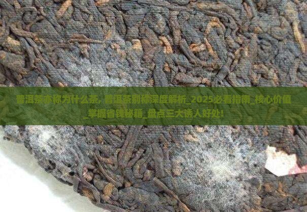 普洱茶亦称为什么茶