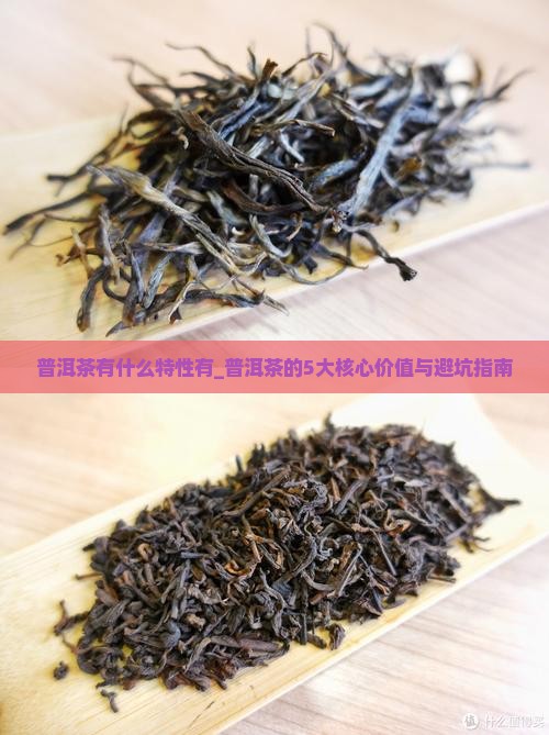 普洱茶有什么特性有