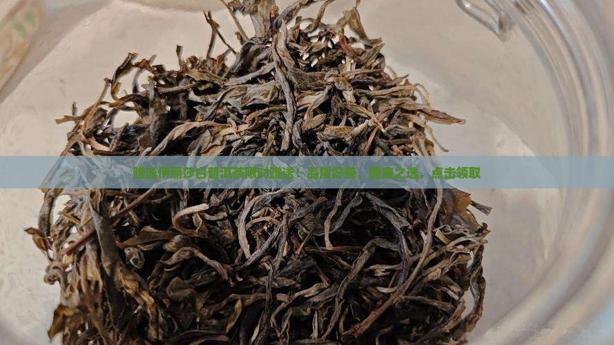 赠送伊丽莎白普洱茶