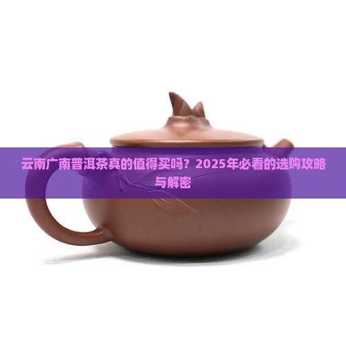 云南广南普洱茶