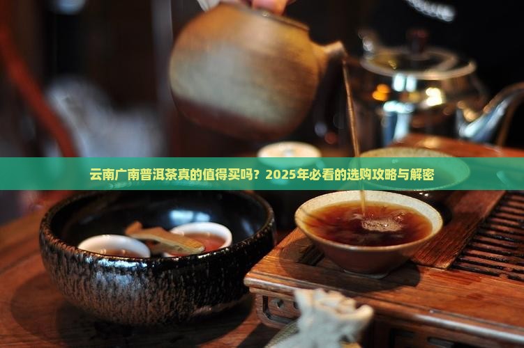 云南广南普洱茶