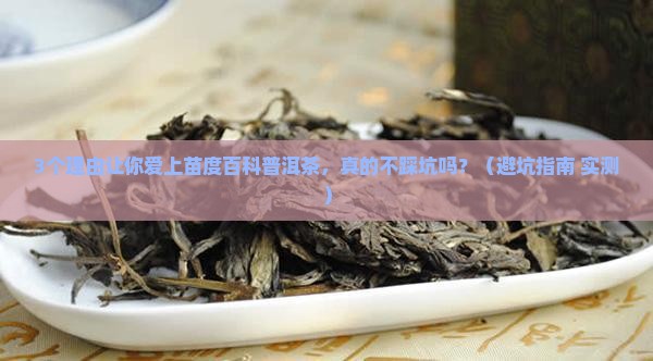 苗度百科普洱茶