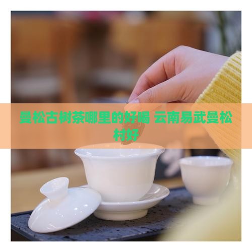 曼松古树茶哪里的好