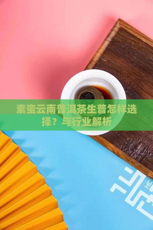 素蛮生普洱茶怎样
