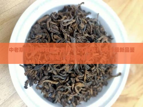 中老期普洱茶的优缺点