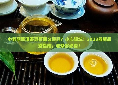 中老期普洱茶的优缺点