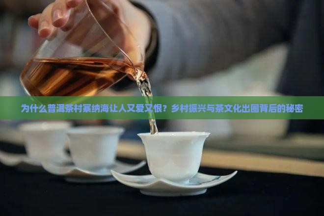 普洱茶村寨纳海