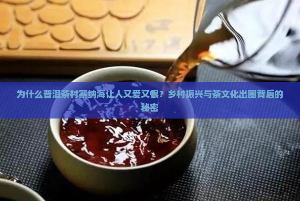 普洱茶村寨纳海