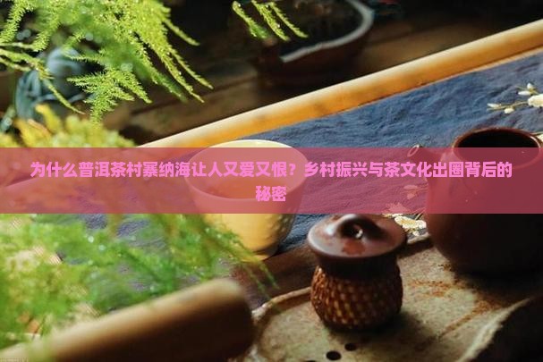 普洱茶村寨纳海