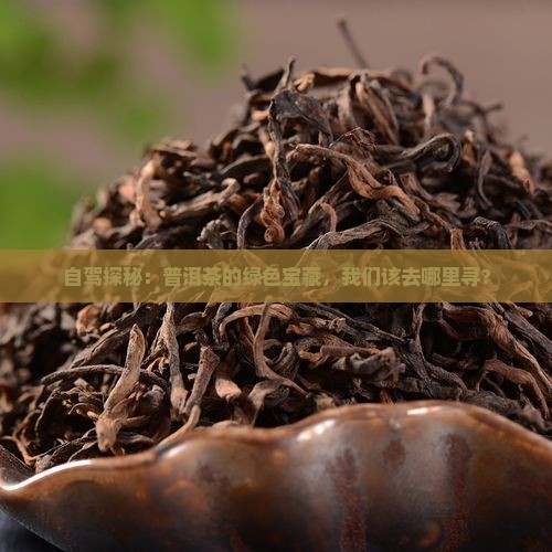 普洱茶产区自驾