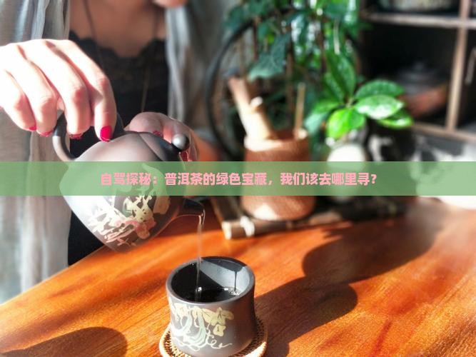 普洱茶产区自驾