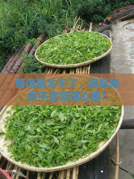 普洱茶太干好吗 普洱茶太干好吗