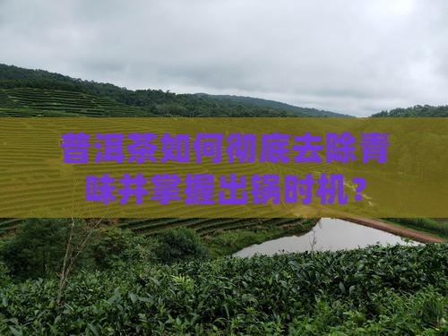 普洱茶杀青青味一除就出锅 普洱茶杀青青味一除就出锅