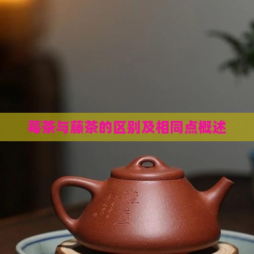 莓茶与藤茶的区别 莓茶与藤茶的区别